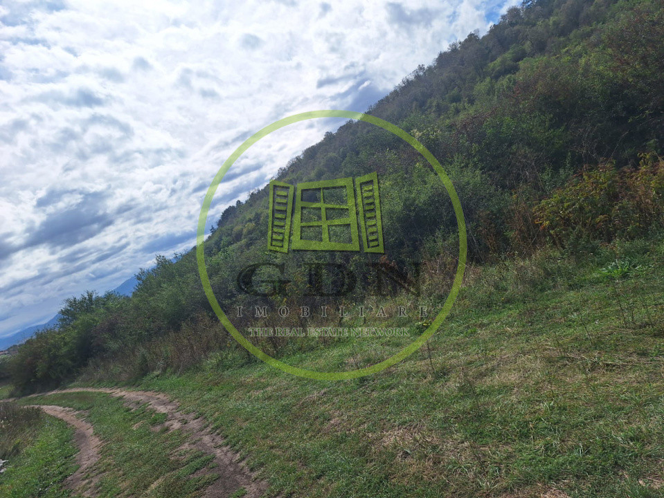 Teren extravilan 700mp in Gusterita.