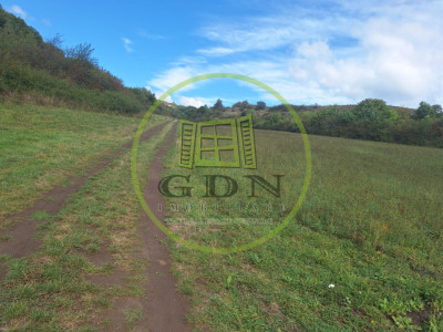 Teren extravilan 700mp in Gusterita.