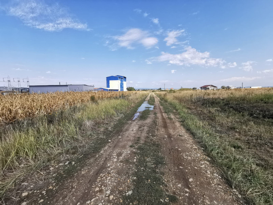 Teren intravilan de vanzare in Osorhei, 5.840 mp, cu front 3 fronturi stradale.