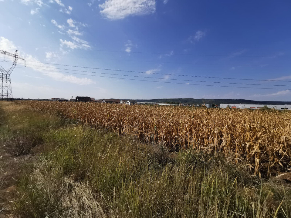 Teren intravilan de vanzare in Osorhei, 5.840 mp, cu front 3 fronturi stradale.
