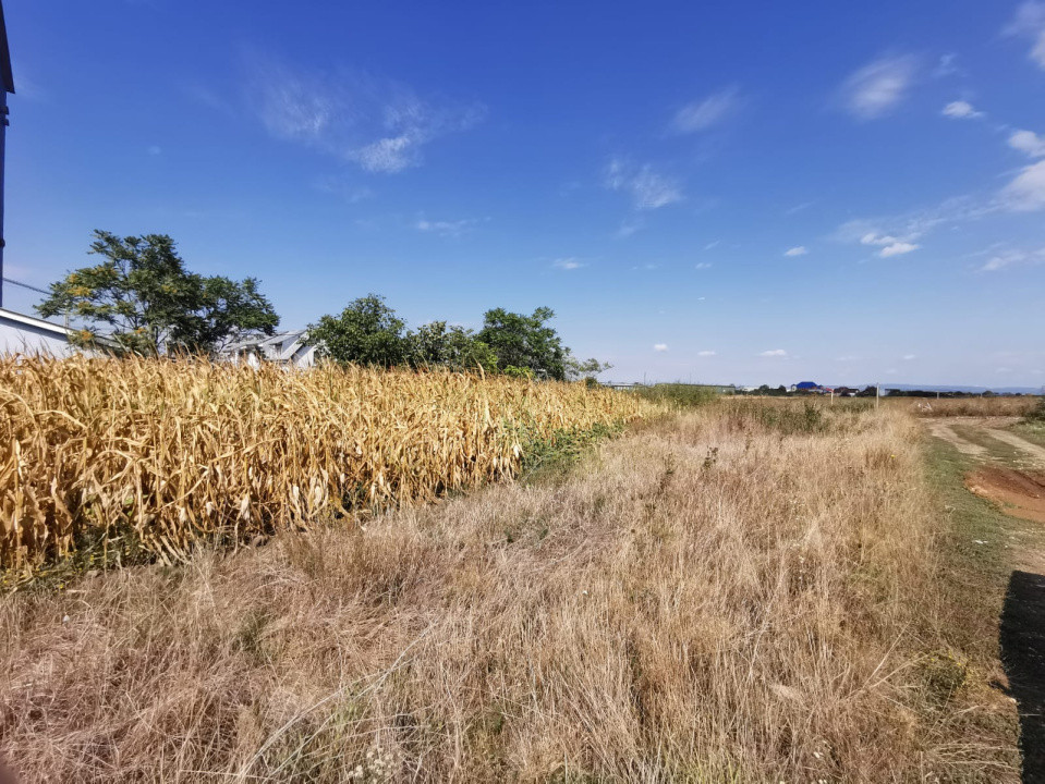 Teren intravilan de vanzare in Osorhei, 5.840 mp, cu front 3 fronturi stradale.