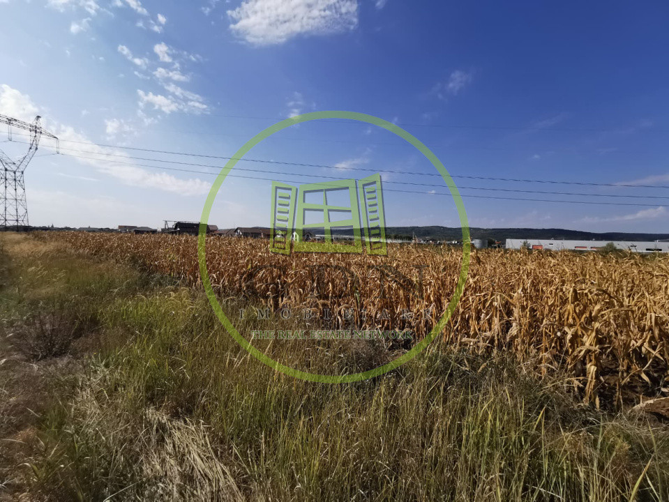 Teren intravilan de vanzare in Osorhei, 5.840 mp, cu front 3 fronturi stradale.