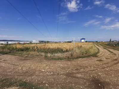 Teren intravilan de vanzare in Osorhei, 5.840 mp, cu front 3 fronturi stradale.