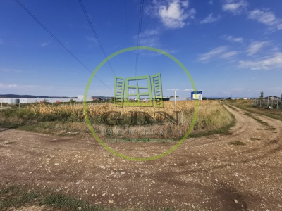 Teren intravilan de vanzare in Osorhei, 5.840 mp, cu front 3 fronturi stradale.