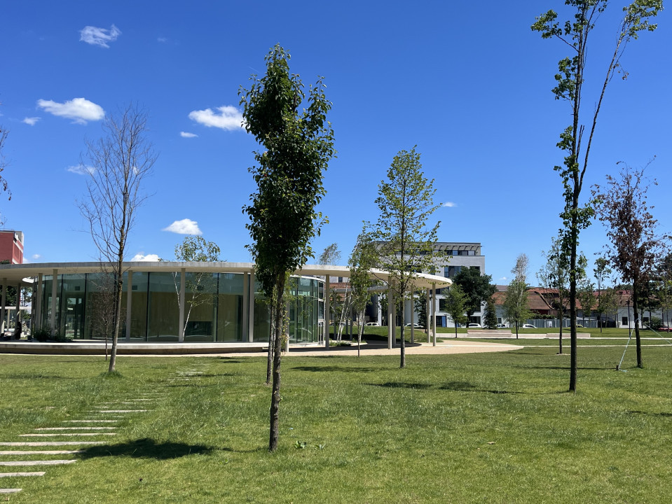 Casa de vanzare langa parc superb in Cluj-Napoca