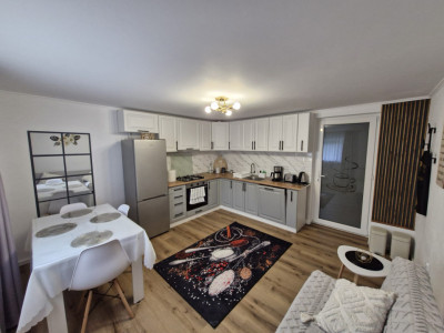 De închiriat – Apartament la casă, zona Parcul Sub Arini