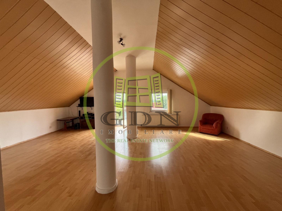 Vila impresionanta-oportunitate business