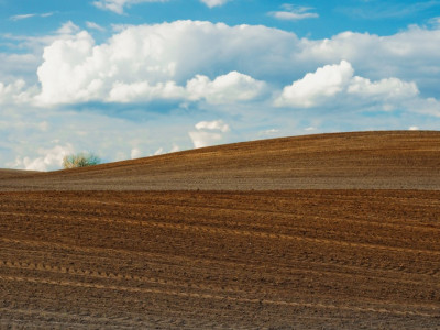 Teren agricol de vanzare Sannicolau Mare