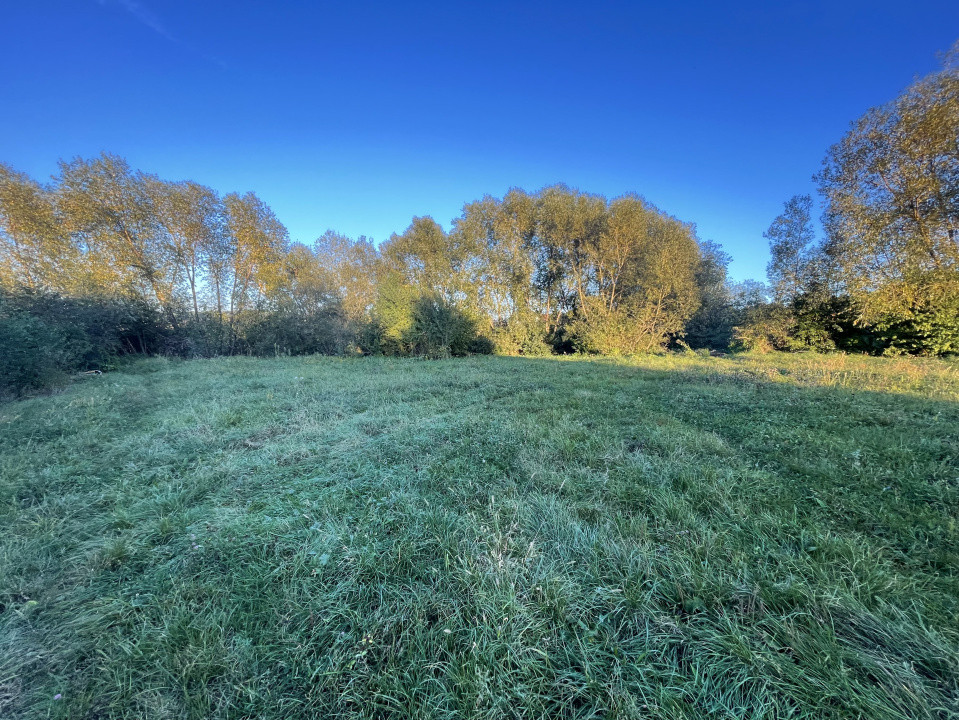 Teren Intravilan, 946 mp, Orasul Cisnădie 