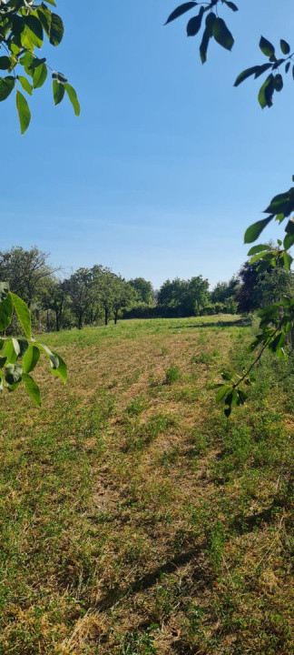 Teren 2236mp intravilan Jaristea
