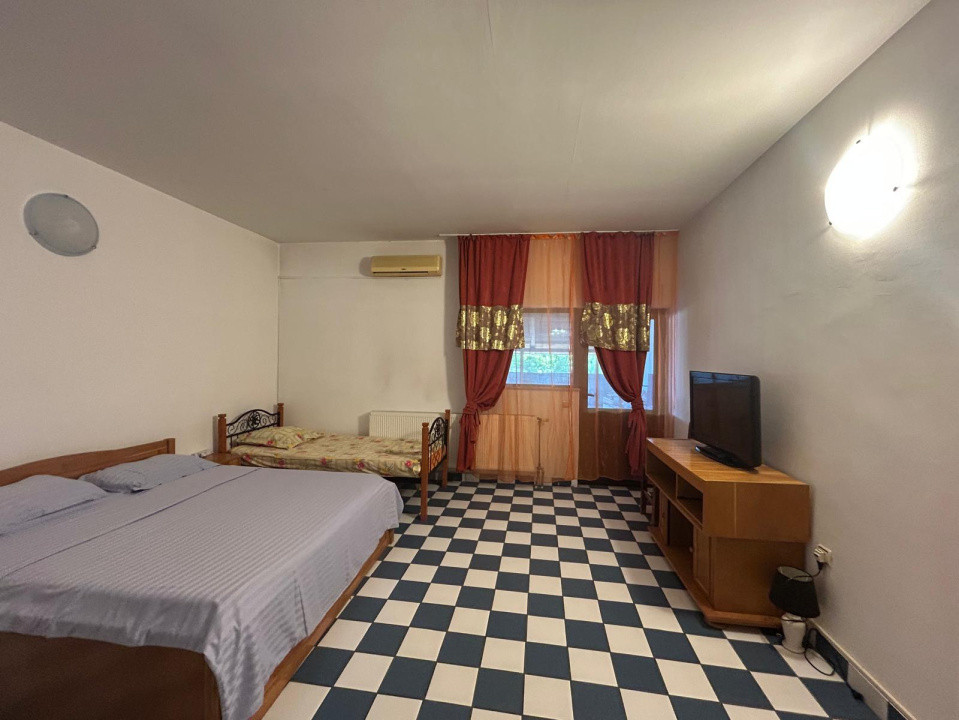 Afacere la cheie, 2963 mp utili, 21598 mp teren, Cernele