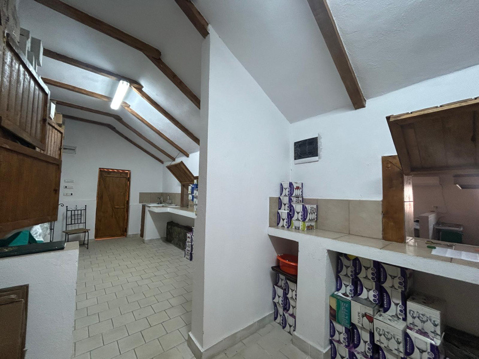 Afacere la cheie, 2963 mp utili, 21598 mp teren, Cernele