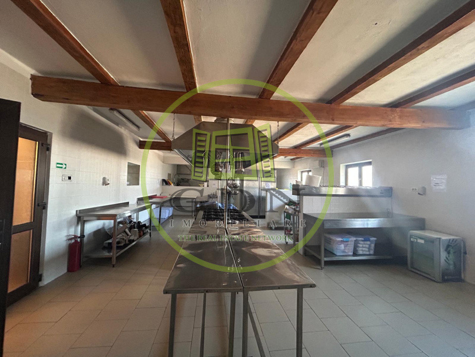 Afacere la cheie, 2963 mp utili, 21598 mp teren, Cernele