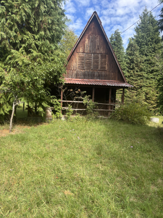 Cabana de vanzare , Firiza