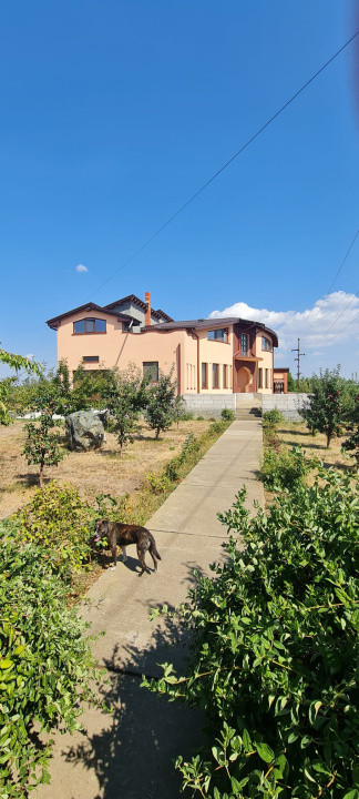 Casa P+M Cosmesti