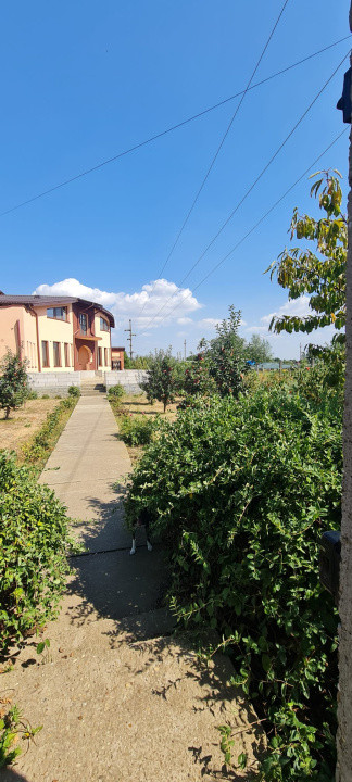 Casa P+M Cosmesti