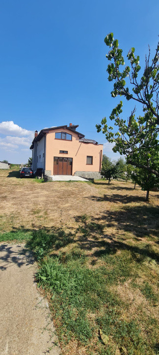 Casa P+M Cosmesti