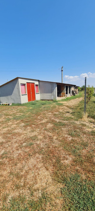 Casa P+M Cosmesti