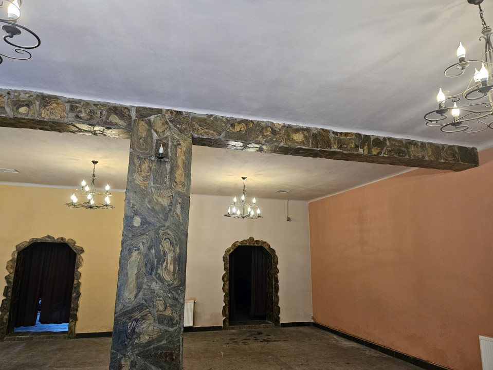 Spațiu comercial 