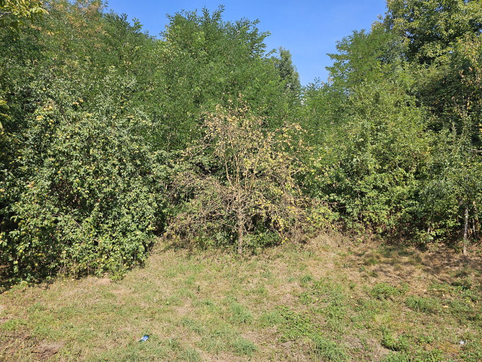 Casa de vacanta cu 4 camere +teren suprafata 2.043 mp, Calugari, Bihor