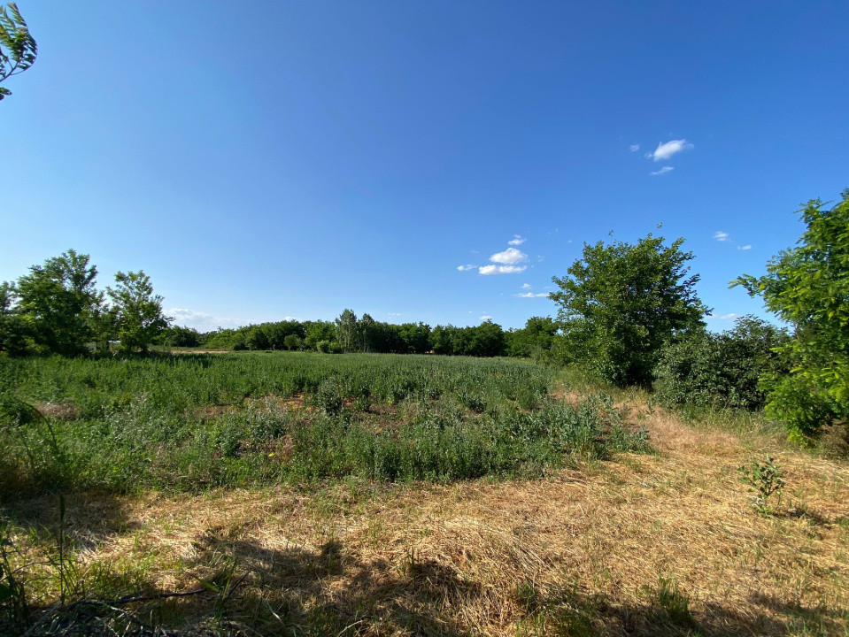 Casă de vacanță , 2 cam, teren 3.381 mp 
