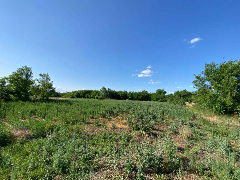 Casă de vacanță , 2 cam, teren 3.381 mp 