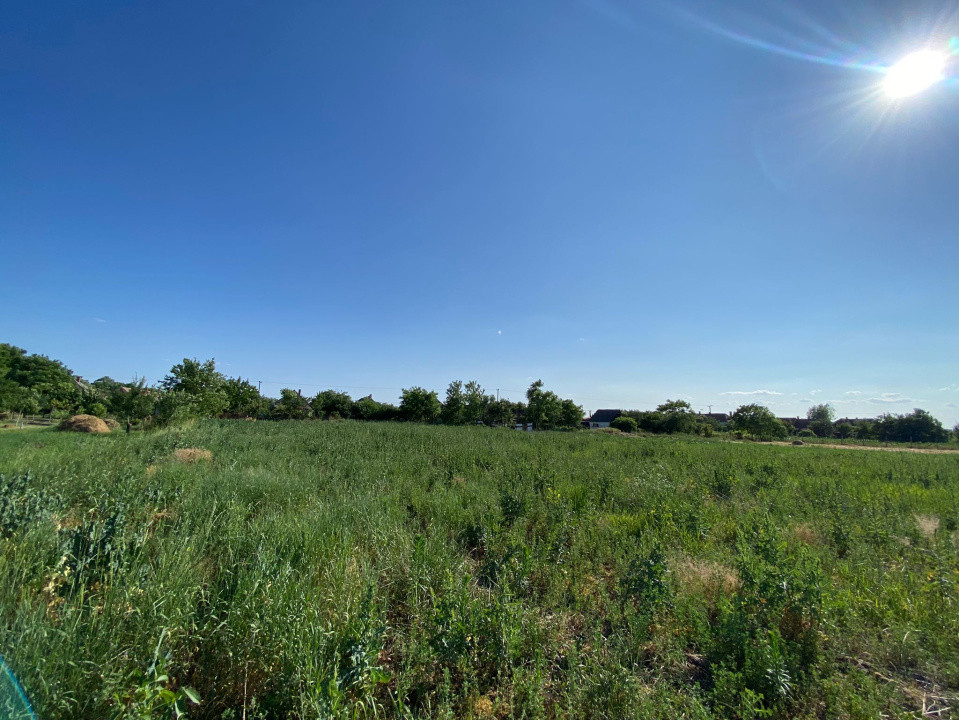 Casă de vacanță , 2 cam, teren 3.381 mp 