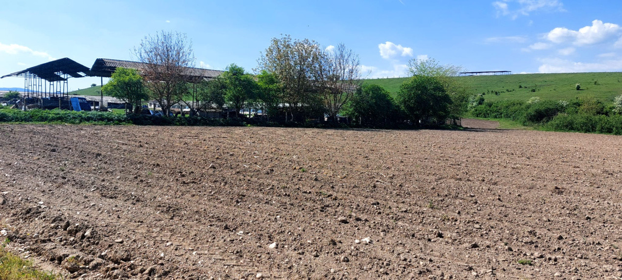Teren  oportunitate investitie  19.000mp, zona Aeroport,