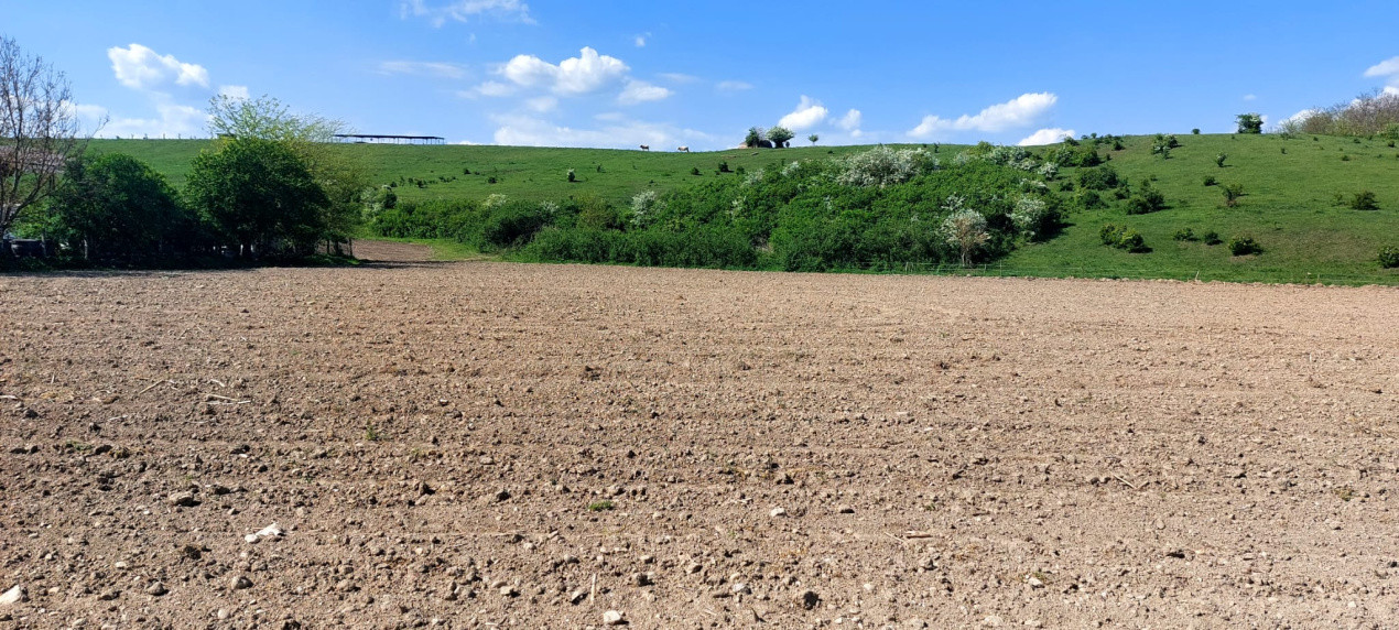 Teren  oportunitate investitie  19.000mp, zona Aeroport,