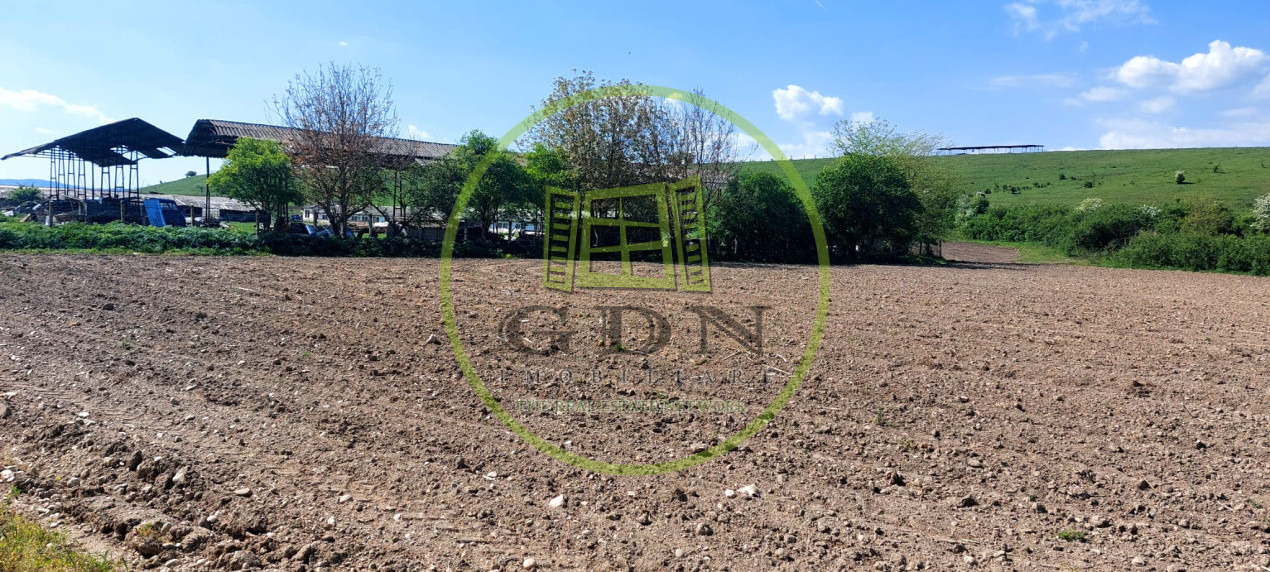 Teren  oportunitate investitie  19.000mp, zona Aeroport,