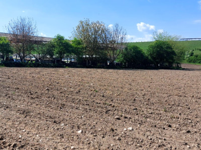 Teren  oportunitate investitie  19.000mp, zona Aeroport,