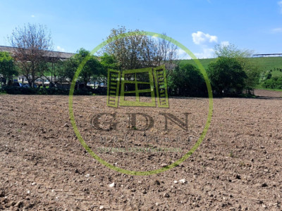 Teren  oportunitate investitie  19.000mp, zona Aeroport,