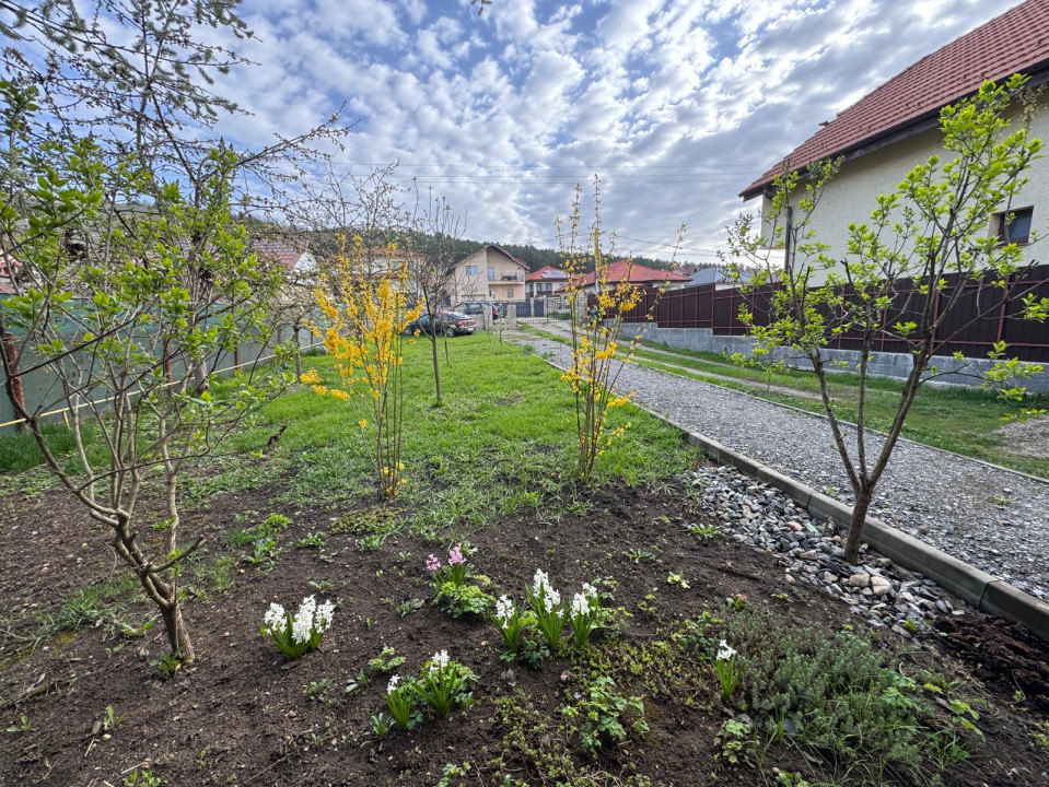 Ofertă de vânzare casă, 261 mp.+895 mp curte, Câmpenești