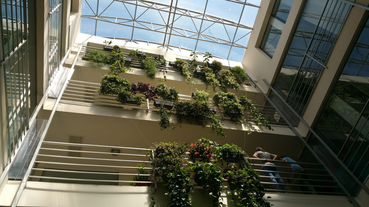 Închiriere spațiu pentru birouri, 65 mp., Ultracentral Cluj 650 EUR!