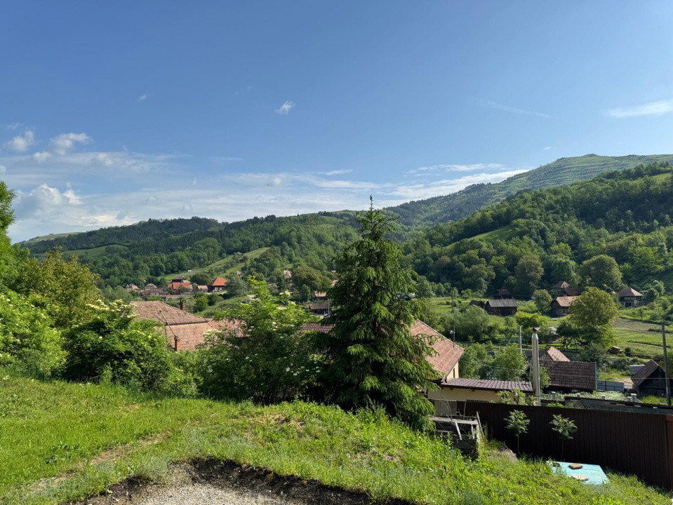 Casă de vânzare, 5 cam., 200 mp. + 5000 mp. teren, Valea Arieșului