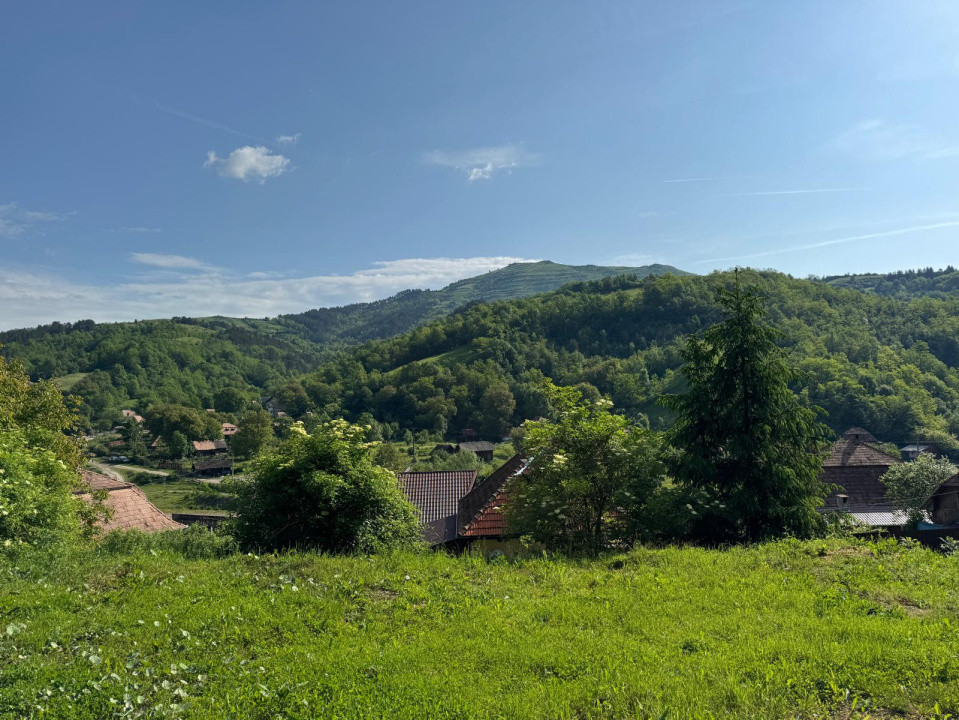 Casă de vânzare, 5 cam., 200 mp. + 5000 mp. teren, Valea Arieșului