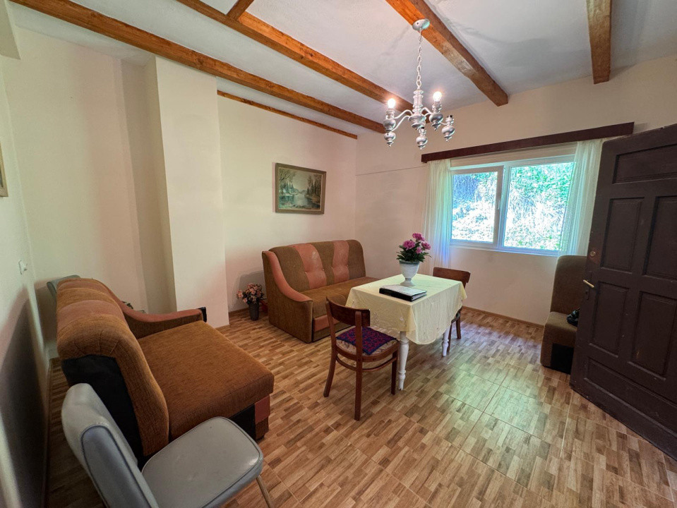 Casă de vânzare, 5 cam., 220 mp. + 4820 mp. teren, Valea Arieșului