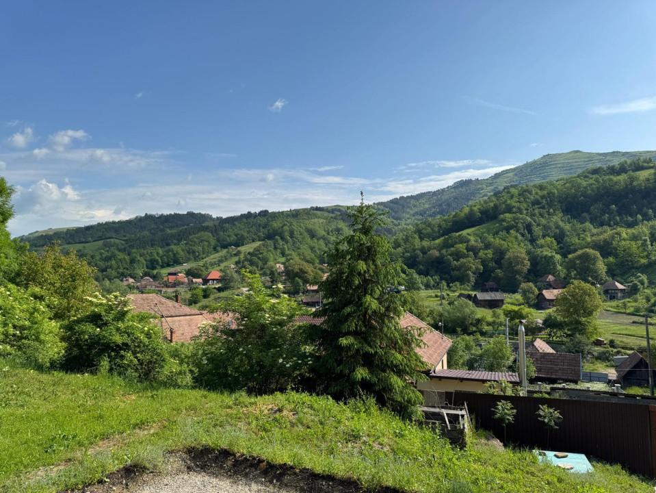 Casă de vânzare, 5 cam., 220 mp. + 4820 mp. teren, Valea Arieșului