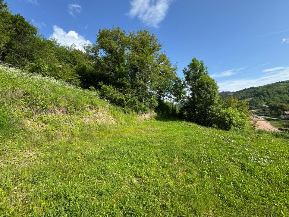 Casă de vânzare, 5 cam., 220 mp. + 4820 mp. teren, Valea Arieșului