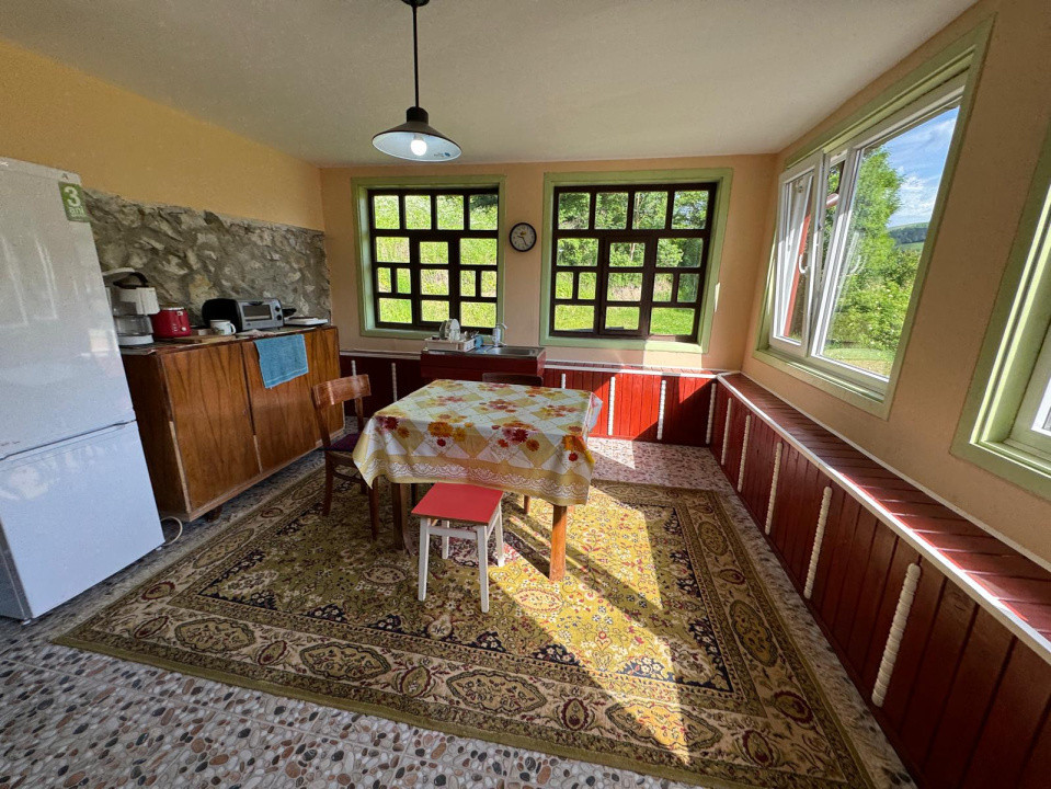 Casă de vânzare, 5 cam., 220 mp. + 4820 mp. teren, Valea Arieșului