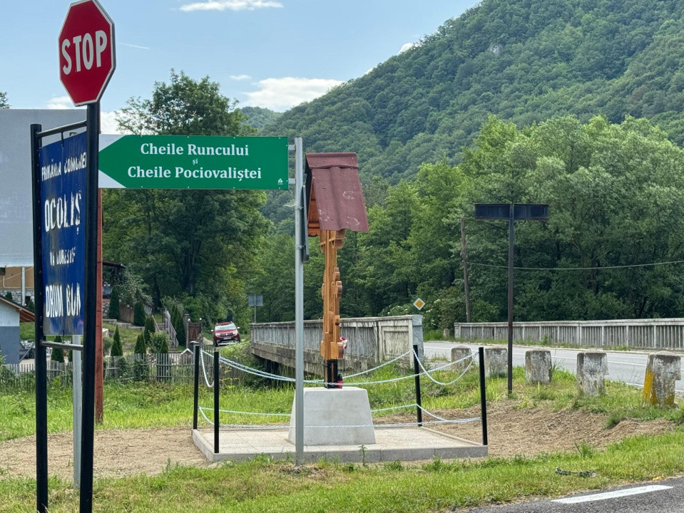 Casă de vânzare, 5 cam., 220 mp. + 4820 mp. teren, Valea Arieșului