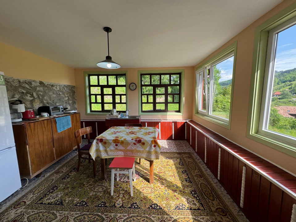 Casă de vânzare, 5 cam., 220 mp. + 4820 mp. teren, Valea Arieșului