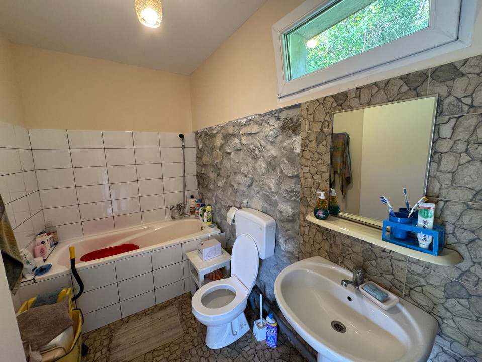 Casă de vânzare, 5 cam., 220 mp. + 4820 mp. teren, Valea Arieșului