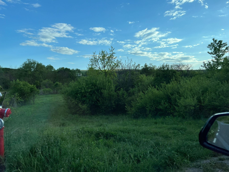 Teren construcții intravilan de 4700 mp, Baciu - Comision 0%