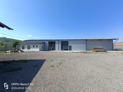 Spatiu comercial de închiriat / hale depozitare/producție