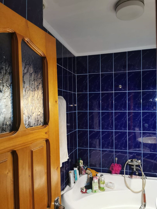 Apartament 3 camere Str. Aleea Florilor