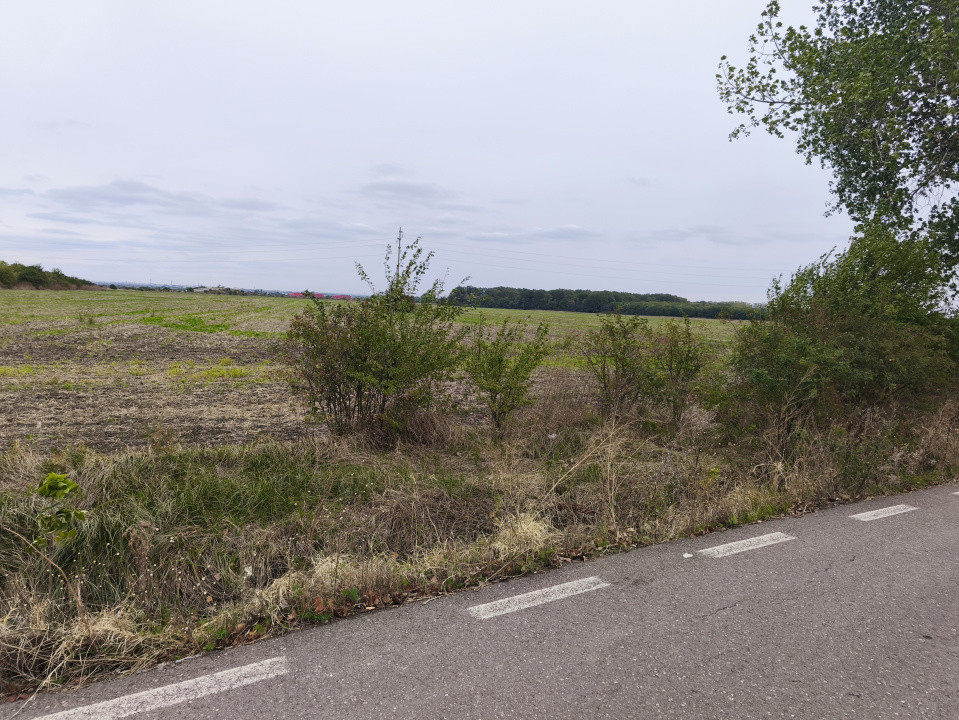 Teren extravilan 9113 mp in apropierea drumului E85