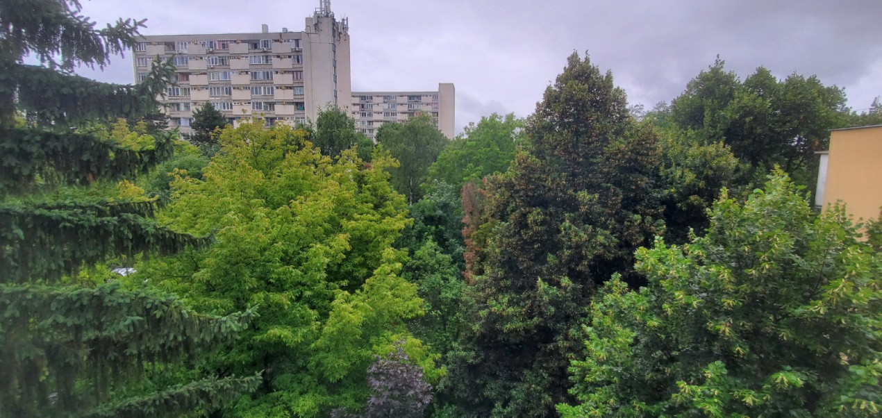 Ofertă de vânzare ap. deosebit cu 3 cam., 65 mp., Gheorgheni