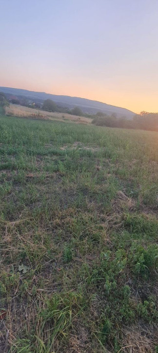 Teren extravilan 6883mp Odobesti