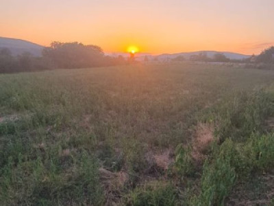 Teren extravilan 6883mp Odobesti